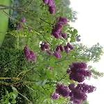 Relax @ Maison Sax Homestay szállás *