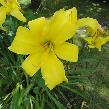 Relax @ Maison Sax Oppagne